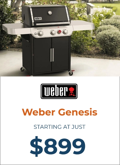 weber genesis Sale